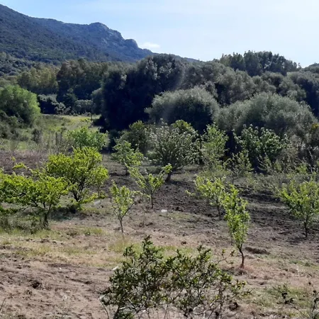 I Tre Vitigni Moscato Trinita d'Agultu e Vignola