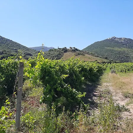 I Tre Vitigni Moscato * Trinita d'Agultu e Vignola