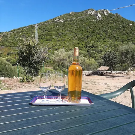 I Tre Vitigni Moscato Trinita d'Agultu e Vignola