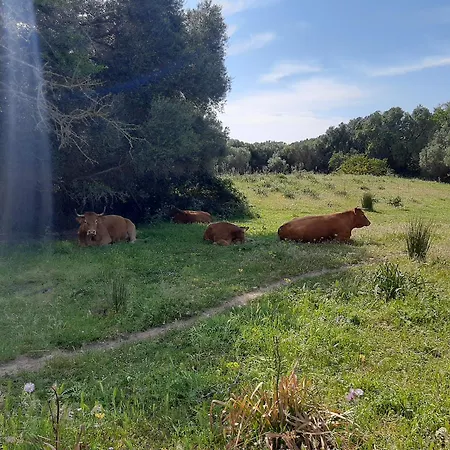 Apartmán I Tre Vitigni Moscato