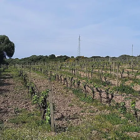 Apartmán I Tre Vitigni Moscato