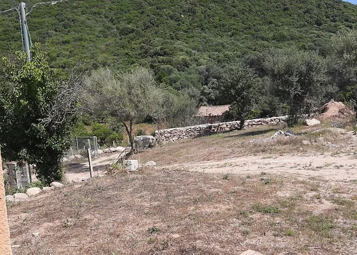 I Tre Vitigni Moscato Daire Trinità dʼAgultu